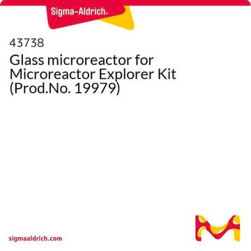 Glass microreactor for Microreactor Explorer Kit (Prod.No. 19979)