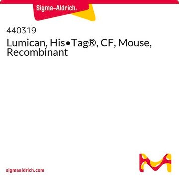 Lumican, His&#8226;Tag&#174;, CF, Mouse, Recombinant