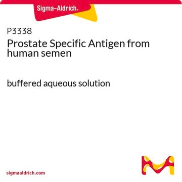 Prostataspezifisches Antigen aus Humansperma buffered aqueous solution