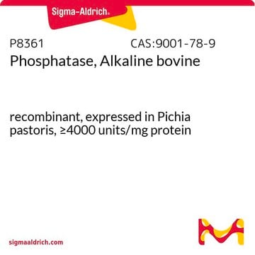 Phosphatase, alkalisch Rind recombinant, expressed in Pichia pastoris, &#8805;4000&#160;units/mg protein