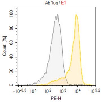 Anti-CD200/OX2 Antibody, clone OX-90