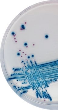 STEC Millichrome&#8482; plus Agar Base for bacteria: Escherichia coli (Shiga toxin STEC), suitable for microbiology