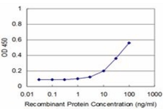 Monoclonal Anti-OSR1 antibody produced in mouse clone 1G9, purified immunoglobulin, buffered aqueous solution