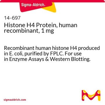 人重组组蛋白H4蛋白，1 mg Recombinant human histone H4 produced in E. coli, purified by FPLC. For use in Enzyme Assays &amp; Western Blotting.