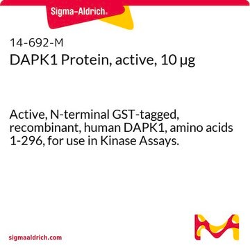 DAPK1 Protein, active, 10 &#181;g Active, N-terminal GST-tagged, recombinant, human DAPK1, amino acids 1-296, for use in Kinase Assays.