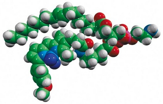 TopFluor&#8482; TMR PE Avanti Research&#8482; - A Croda Brand 810241C