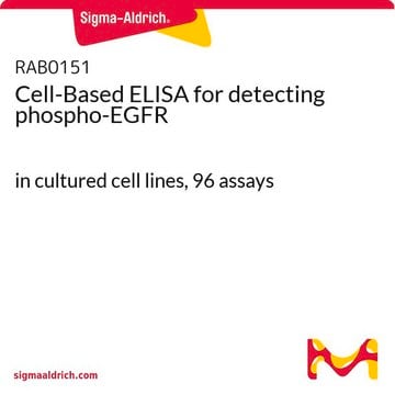 Cell-Based ELISA for detecting phospho-EGFR in cultured cell lines, 96&#160;assays