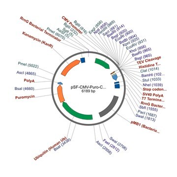 PSF-CMV-PURO-COOH-TEV-6HIS - C-TERMINAL 6 HIS TAG MAMMALIAN PLASMID plasmid vector for molecular cloning