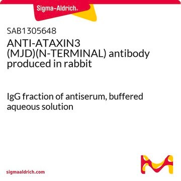 ANTI-ATAXIN3 (MJD)(N-TERMINAL) antibody produced in rabbit IgG fraction of antiserum, buffered aqueous solution