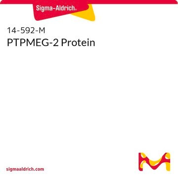 PTPMEG-2 Protein