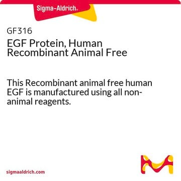 Proteína EGF recombinante humana, sin productos de origen animal This Recombinant animal free human EGF is manufactured using all non-animal reagents.