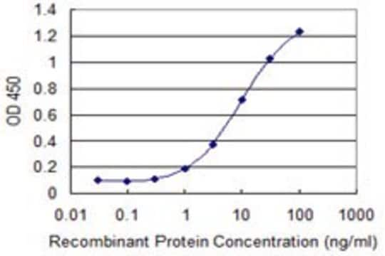 Monoclonal Anti-RHOBTB3 antibody produced in mouse clone 3A10, purified immunoglobulin, buffered aqueous solution