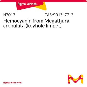 Hemocyanin from Megathura crenulata (keyhole limpet)