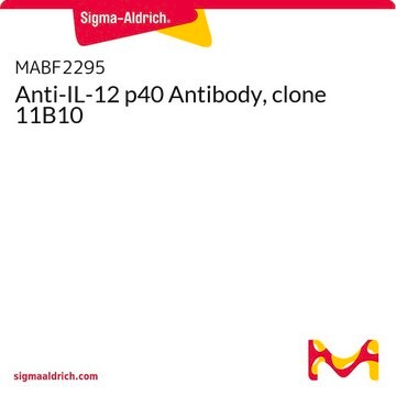 Anti-il-12 P40 Antibody, Clone 11b10 