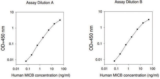 Human MICB ELISA Kit for serum, plasma, cell culture supernatant and urine