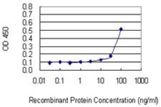 Monoclonal Anti-ZNF253 antibody produced in mouse clone 1D7, purified immunoglobulin, buffered aqueous solution