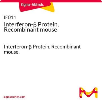 Interféron-&#946;, protéine recombinante de souris Interferon-&#946; Protein, Recombinant mouse.