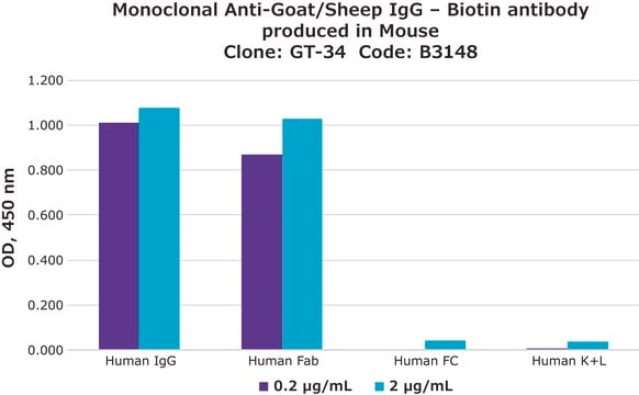 Anticorps monoclonal anti-IgG de chèvre/mouton clone GT-34, purified from hybridoma cell culture