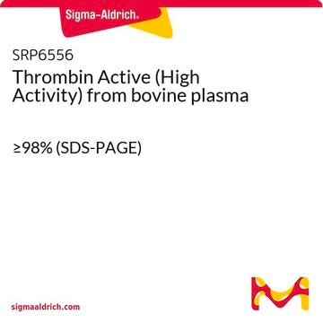 Thrombin Active (High Activity) from bovine plasma &#8805;98% (SDS-PAGE)