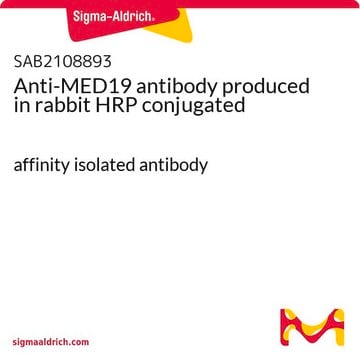 Anti-MED19 antibody produced in rabbit HRP conjugated affinity isolated antibody