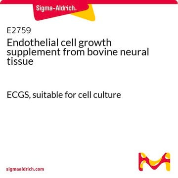 Suplemento de crecimiento para células endoteliales from bovine neural tissue ECGS, suitable for cell culture