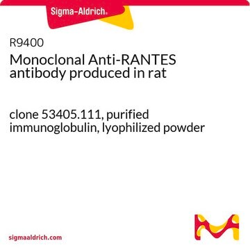 Monoclonal Anti-RANTES antibody produced in rat clone 53405.111, purified immunoglobulin, lyophilized powder