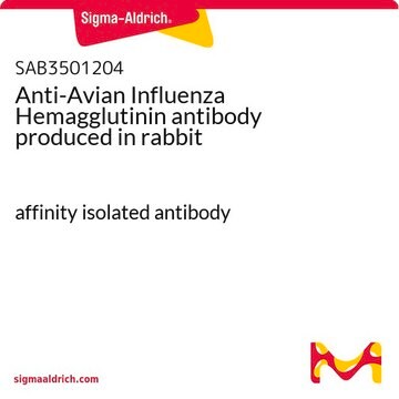 Anti-Avian Influenza Hemagglutinin antibody produced in rabbit affinity isolated antibody