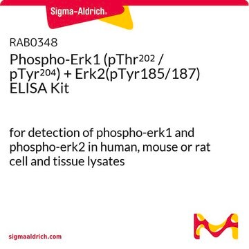 磷酸化Erk1 (pThr202 / pTyr204) + Erk2(pTyr185/187) ELISA试剂盒 for detection of phospho-erk1 and phospho-erk2 in human, mouse or rat cell and tissue lysates