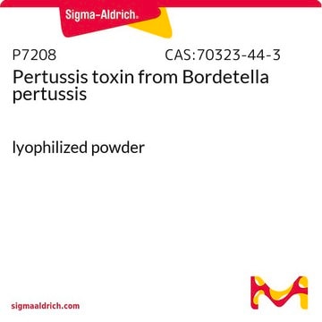 Pertussis toxin from Bordetella pertussis lyophilized powder