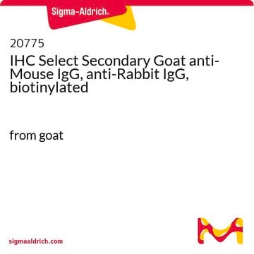 IgG de cabra anti-ratón y anti-conejo secundaria biotinilada IHC Select from goat