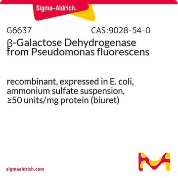 &#946;-Galactose Dehydrogenase from Pseudomonas fluorescens recombinant, expressed in E. coli, ammonium sulfate suspension, &#8805;50&#160;units/mg protein (biuret)