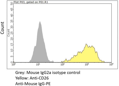 Anti-DPP4/CD26 Antibody, clone KU44.13A