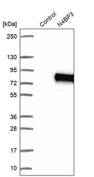 Anti-N4BP3 antibody produced in rabbit Prestige Antibodies&#174; Powered by Atlas Antibodies, affinity isolated antibody, buffered aqueous glycerol solution