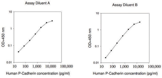 Human P-Cadherin ELISA Kit for serum, plasma, cell culture supernatant and urine