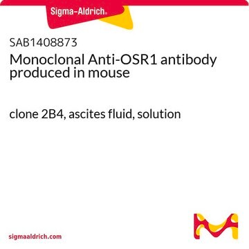 Monoclonal Anti-OSR1 antibody produced in mouse clone 2B4, ascites fluid, solution