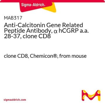 Anti-Calcitonin Gene Related Peptide Antibody, α hCGRP a.a. 28-37 ...