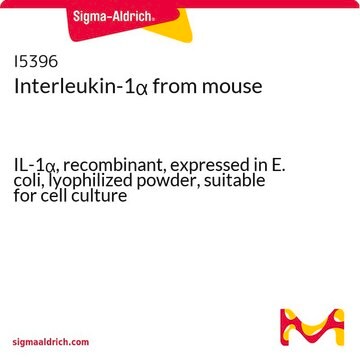 Interleukin-1&#945; from mouse IL-1&#945;, recombinant, expressed in E. coli, lyophilized powder, suitable for cell culture