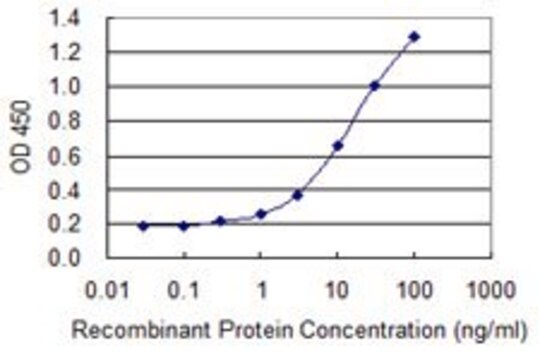 Monoclonal Anti-DPT, (C-terminal) antibody produced in mouse clone 2A11, purified immunoglobulin, buffered aqueous solution