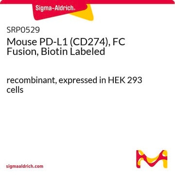 Mouse PD-L1 (CD274), FC Fusion, Biotin Labeled recombinant, expressed in HEK 293 cells