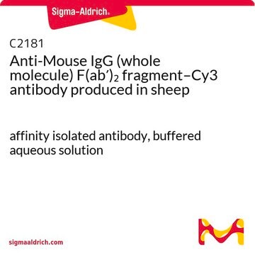 抗小鼠IgG（完整分子）F(ab&#8242;)2 片段–Cy3 绵羊抗 affinity isolated antibody, buffered aqueous solution