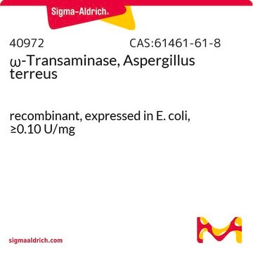 &#969;-Transaminase, Aspergillus terreus recombinant, expressed in E. coli, &#8805;0.10&#160;U/mg