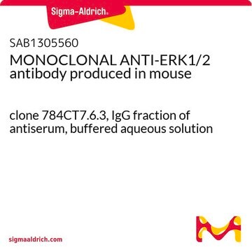 MONOCLONAL ANTI-ERK1/2 antibody produced in mouse clone 784CT7.6.3, IgG fraction of antiserum, buffered aqueous solution