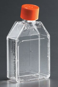 Corning&#174; Synthemax&#174;-R surface cell culture flasks rectangular canted neck cell culture flask with vented cap, sterile