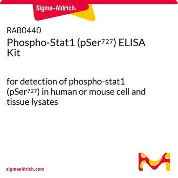 Phospho-Stat1 (pSer727) ELISA Kit for detection of phospho-stat1 (pSer727) in human or mouse cell and tissue lysates