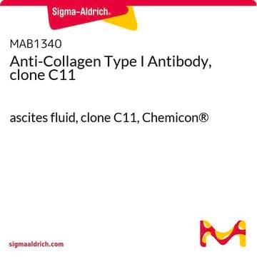 Anti-Collagen Type I Antibody, clone C11 ascites fluid, clone C11, Chemicon&#174;