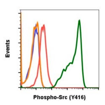 Monoclonal Anti-SRC (phospho Y416) antibody produced in rabbit clone C4