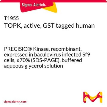 TOPK, active, GST tagged human PRECISIO&#174; Kinase, recombinant, expressed in baculovirus infected Sf9 cells, &#8805;70% (SDS-PAGE), buffered aqueous glycerol solution