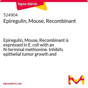 Epiregulin, Mouse, Recombinant Epiregulin, Mouse, Recombinant is expressed in E. coli with an N-terminal methionine. Inhibits epithelial tumor growth and stimulates the growth of fibroblasts and other cell types.