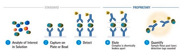 SMC&#174; Human IFN&#955;1 High Sensitivity Immunoassay Kit SMC&#174; advanced ultrasensitive immunoassay technology