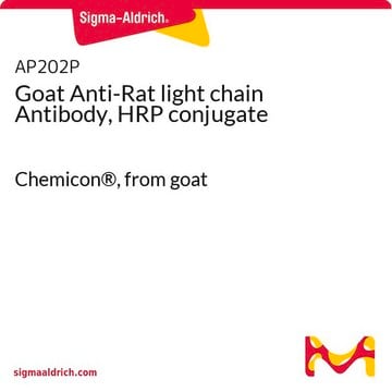 Anti-Ratten-Leichtketten-Antikörper der Ziege, HRP-Konjugat Chemicon&#174;, from goat